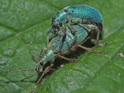 Thumbnail 378741 B
