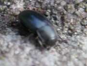 Thumbnail 378762 B