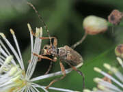 Thumbnail 378817 B