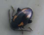 Thumbnail 378876 B