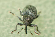 Thumbnail 378957 B