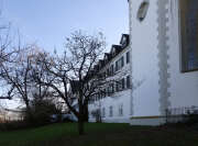 Thumbnail 379040 B