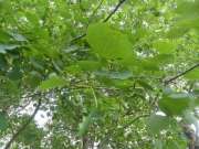 Thumbnail 379308 B