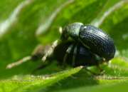 Thumbnail 379351 B