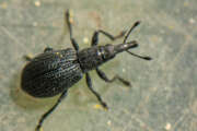 Thumbnail 379403 B