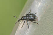 Thumbnail 379406 B