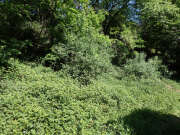 Thumbnail 379506 B