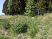 Thumbnail 379507 B