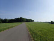 Thumbnail 379599 B