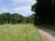 Thumbnail 379624 C