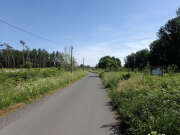 Thumbnail 379629 C