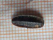 Thumbnail 379678 A