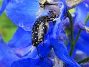 Thumbnail 379802 B