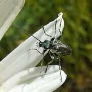 Thumbnail 379831 B