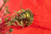 Thumbnail 379938 B
