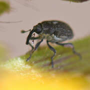 Thumbnail 380062 A