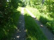 Thumbnail 380248 B