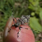 Thumbnail 380304 B