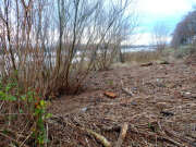 Thumbnail 380325 B