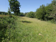 Thumbnail 380447 B