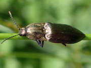 Thumbnail 380448 B