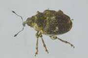 Thumbnail 380532 B