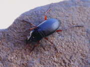Thumbnail 380573 B