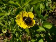 Thumbnail 380616 B