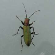 Thumbnail 381092 B