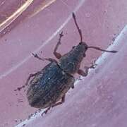 Thumbnail 381146 B