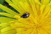 Thumbnail 381166 B