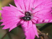 Thumbnail 381228 B