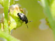 Thumbnail 381241 B