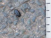 Thumbnail 381251 B