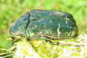 Thumbnail 381284 B