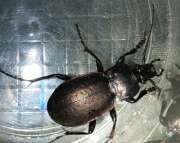 Thumbnail 381301 B