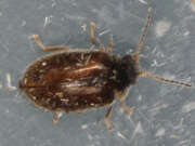 Thumbnail 381311 A