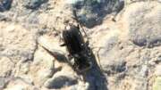 Thumbnail 381502 A