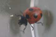 Thumbnail 381542 B