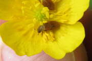 Thumbnail 381638 A