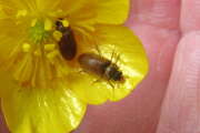 Thumbnail 381638 B