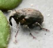 Thumbnail 381845 B