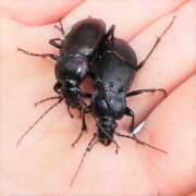 Thumbnail 381879 B