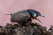 Thumbnail 382074 B