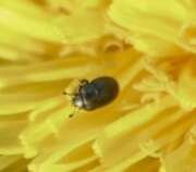 Thumbnail 382128 B