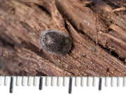 Thumbnail 382425 B