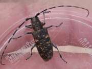 Thumbnail 383157 B
