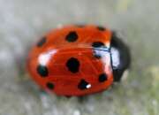 Thumbnail 383904 B