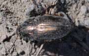Thumbnail 384610 B