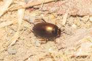 Thumbnail 384996 B